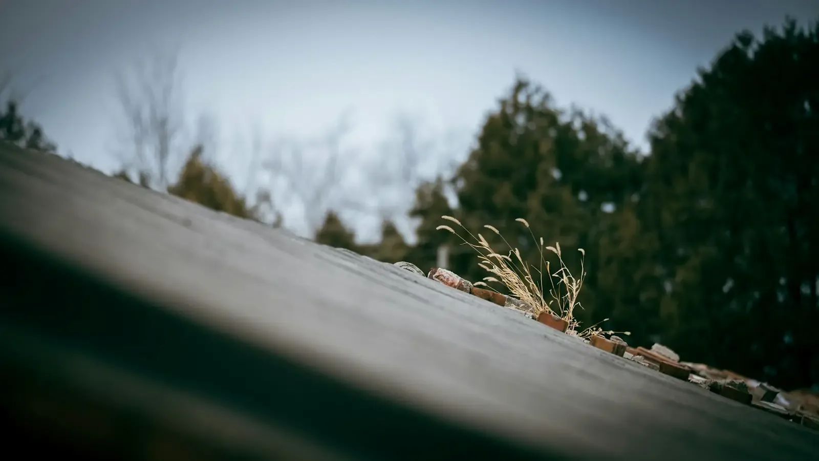Leak repair, Addison Circle - Roof Leak Repair in Addison Circle